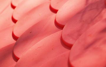 Bingley plastic roof costs